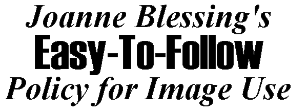 Joanne Blessing's Easy-To-Follow Policy for Image Use